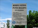 Punta Ballena - GUÁNICA